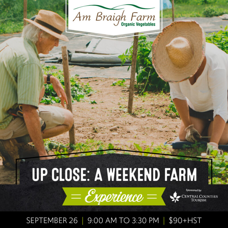 Read more about the article Up Close: A Weekend Farm Experience at Am Braigh Farm